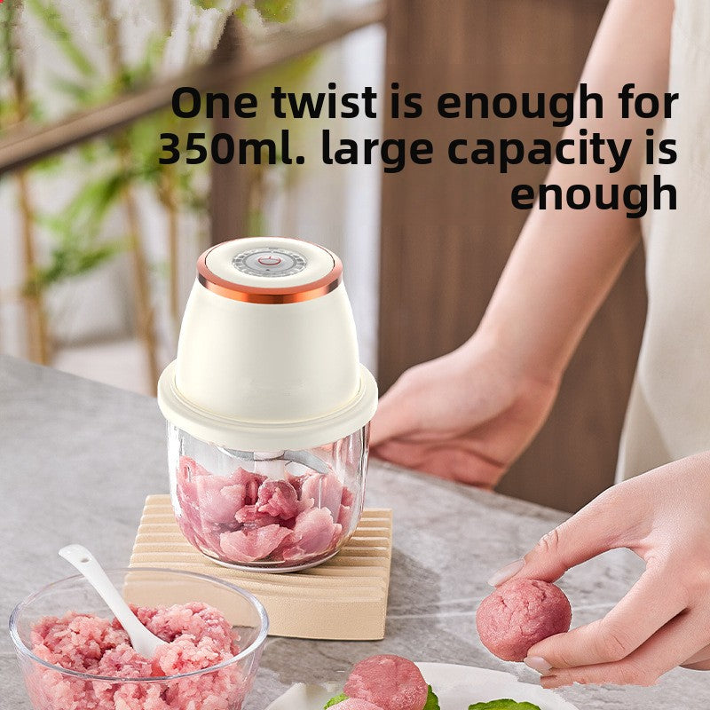 Electric Garlic Masher and Food Processor